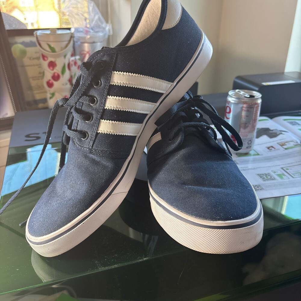 Mens adidas Originals Seeley Collegiate Navy White Canvas Skate Shoes